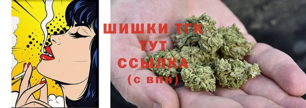 ГАЛЛЮЦИНОГЕННЫЕ ГРИБЫ Белоозёрский