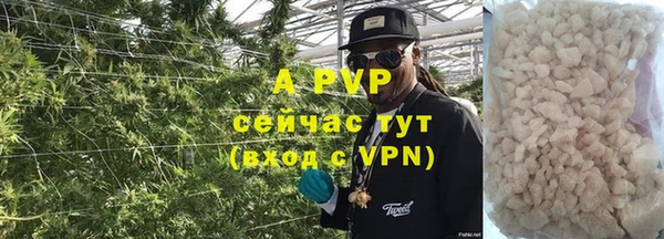 ГАЛЛЮЦИНОГЕННЫЕ ГРИБЫ Белоозёрский
