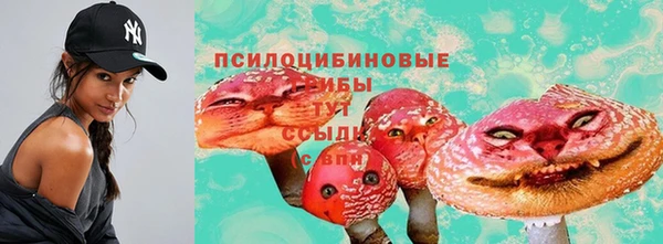 apvp Беломорск