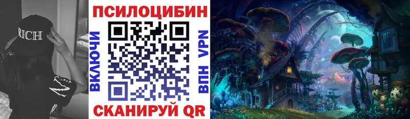 Купить закладки  Большой Камень  Псилоцибиновые грибы GOLDEN TEACHER 